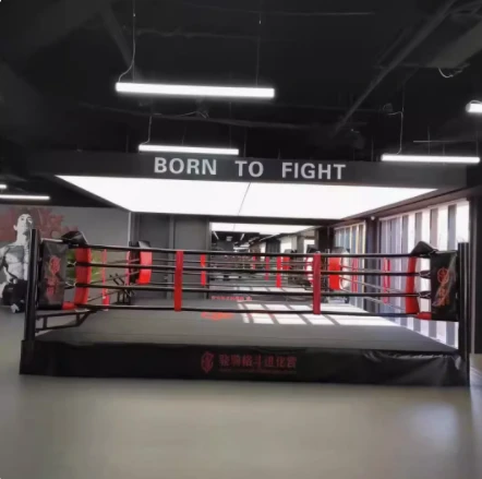 BOXING OCTAGON