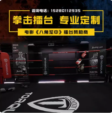 MMA의 팔각형